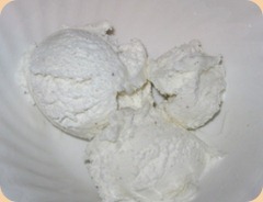 Plain bowl of vanilla ice cream